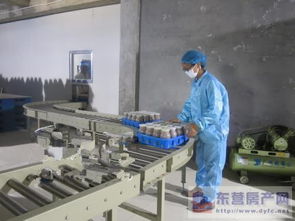 東營(yíng)市產(chǎn)業(yè)雙輪驅(qū)動(dòng) 食用菌產(chǎn)業(yè)發(fā)展與房地產(chǎn)開發(fā)的協(xié)同并進(jìn)